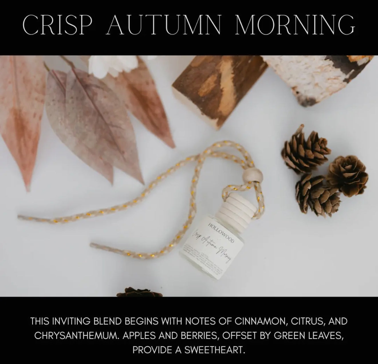 Fall Car Diffusers