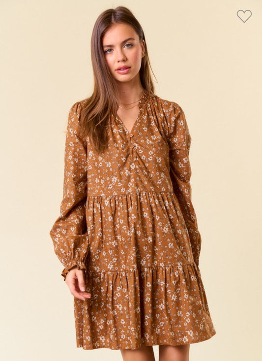 Cotton Floral Print Long Sleeve Tiered Mini Dress