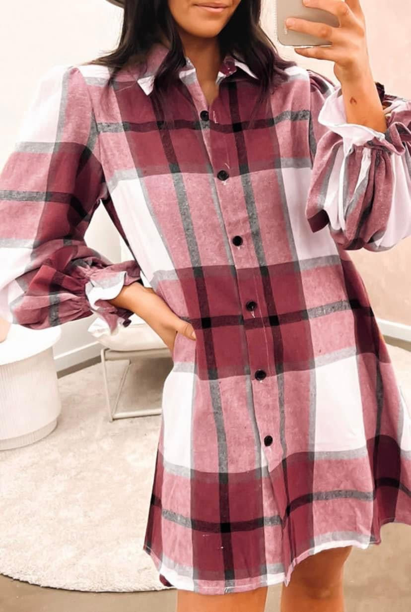 Plaid Ruffled Sleeve Dress